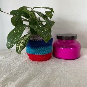 🪴Crochet Plant Cozy 🪴